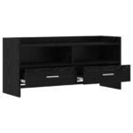 vidaXL TV skrinka 100 x 33 x 47 cm Čierny dub Kompozitné drevo – Obrázok 3