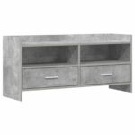vidaXL TV skrinka 100 x 33 x 47 cm Betónovo sivá Kompozitné drevo