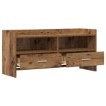vidaXL TV skrinka 100 x 33 x 47 cm Staré drevo Kompozitné drevo – Obrázok 3