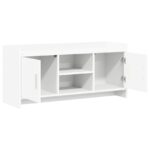 vidaXL TV skrinka 102 x 33 x 47 cm Biela Kompozitné drevo – Obrázok 3