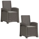 vidaXL Záhradné kreslo s funkciou sklápania - vzhľad ratan 2 pcs – Obrázok 2