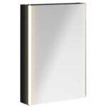vidaXL Kúpeľňová zrkadlová skrinka Čierny dub 43 x 11,5 x 60,5 cm – Obrázok 2