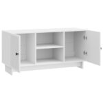 vidaXL TV skrinka 102 x 34,5 x 50 cm Biela s vysokým leskom – Obrázok 5