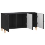 vidaXL TV skrinka Čierna 99 x 34,5 x 50 cm Kompozitné drevo – Obrázok 5