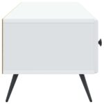 vidaXL TV skrinka Biela 147 x 34,5 x 30 cm Kompozitné drevo – Obrázok 7