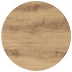 vidaXL Bočná skrinka 2 pcs Remeselný Dub Ø40 x 50 cm – Obrázok 9