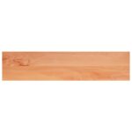 vidaXL Nášľapy na schody 12 ks 120 x 25 x 2 cm Lak – Obrázok 4