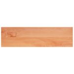 vidaXL Nášľapy na schody 16 ks 100 x 30 x 2 cm Lak – Obrázok 4