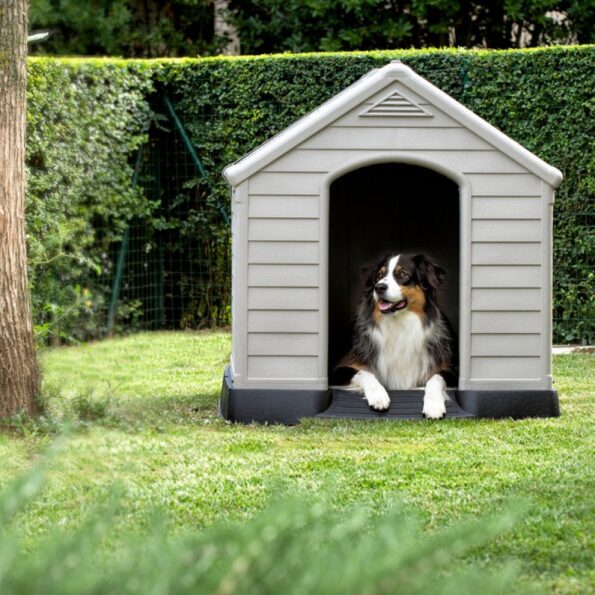 Búda pre psov Curver Dog House šedá – Obrázok 5
