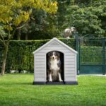 Búda pre psov Curver Dog House šedá – Obrázok 6