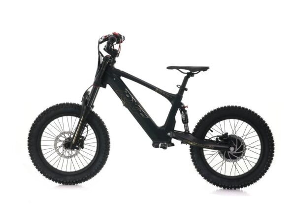Detská elektrická motorka Energy Adventure Push 18 Pro Racing sevisované – Obrázok 6