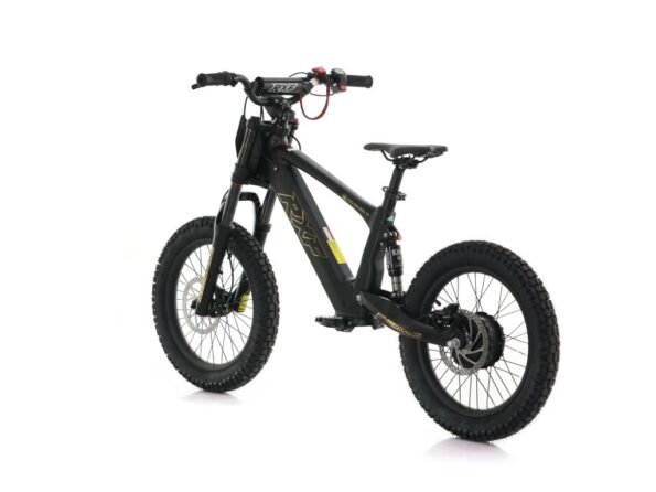 Detská elektrická motorka Energy Adventure Push 18 Pro Racing sevisované – Obrázok 7