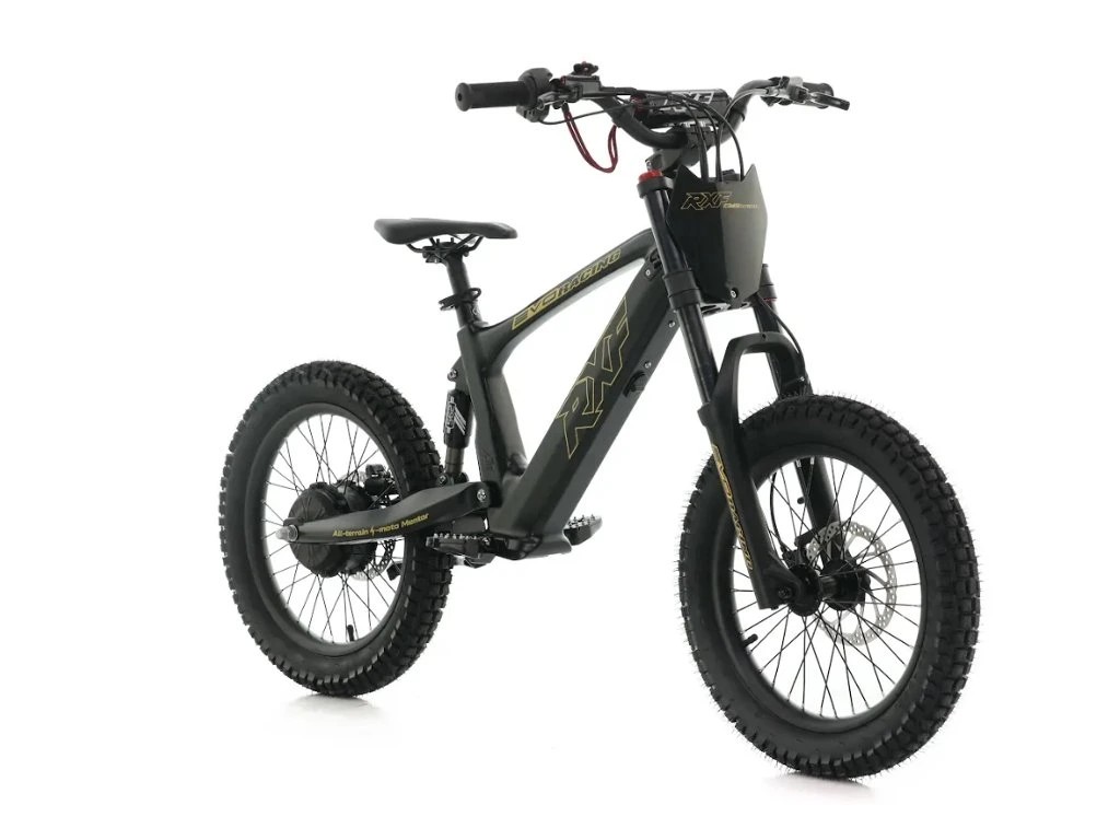 Detska-elektricka-motorka-Energy-Adventure-Push-18-Pro-Racing-sevisovane Detská elektrická motorka Energy Adventure Push 18 Pro Racing sevisované – Obrázok 1