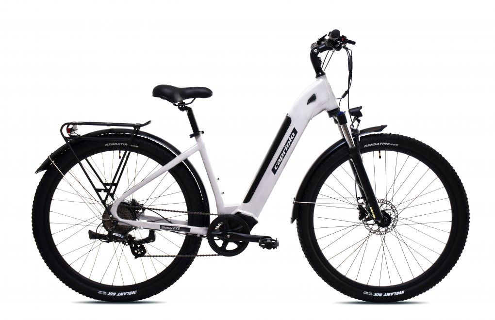 Elektrobicykel-Capriolo-E-City28-Journey-light-grey Elektrobicykel Capriolo E-City28-Journey light grey – Obrázok 1