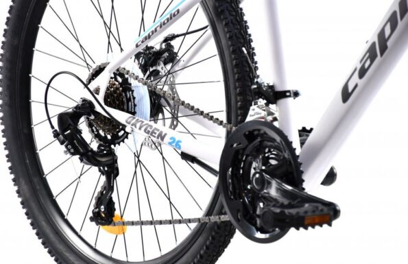 Horský bicykel Capriolo OXYGEN 29"/16" biely – Obrázok 3