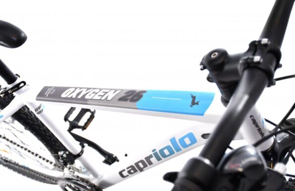 Horský bicykel Capriolo OXYGEN 29"/16" biely – Obrázok 5