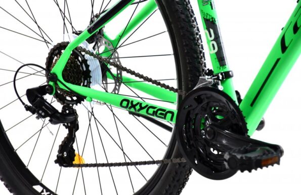Horský bicykel Capriolo OXYGEN 29"/16" zelený – Obrázok 2