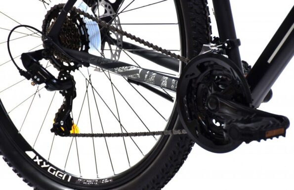 Horský bicykel Capriolo OXYGEN 29"/19" čierny – Obrázok 3