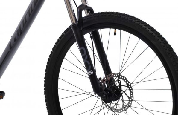Horský bicykel Capriolo OXYGEN 29"/19" sivo-čierny – Obrázok 3