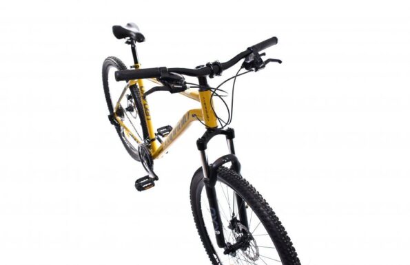 Horský bicykel Capriolo OXYGEN 29"/21HT mustard čierny – Obrázok 4