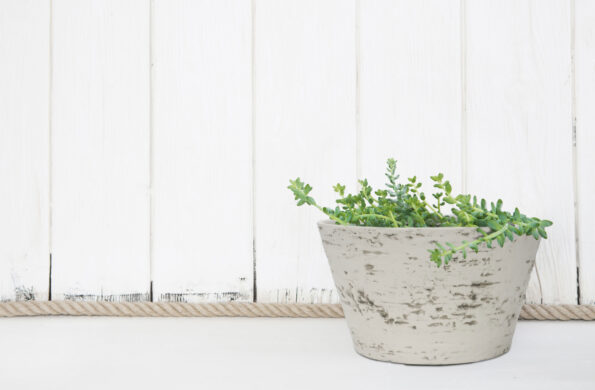 Kvetináč G21 Baltic Bowl 42 x 23 x 42 – Obrázok 5