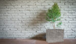 Kvetináč G21 Natur Box 60 x 45 x 25 – Obrázok 3