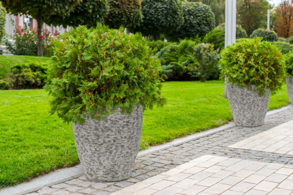Kvetináč G21 Natur Plump 44 x 61 x 44 – Obrázok 3