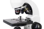 Mikroskop Levenhuk Rainbow D50L PLUS Moonstone – Obrázok 6