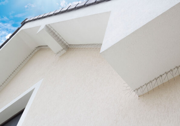 Ochranné hroty G21 proti vtákom 50 x 11 cm, 1 ks – Obrázok 6