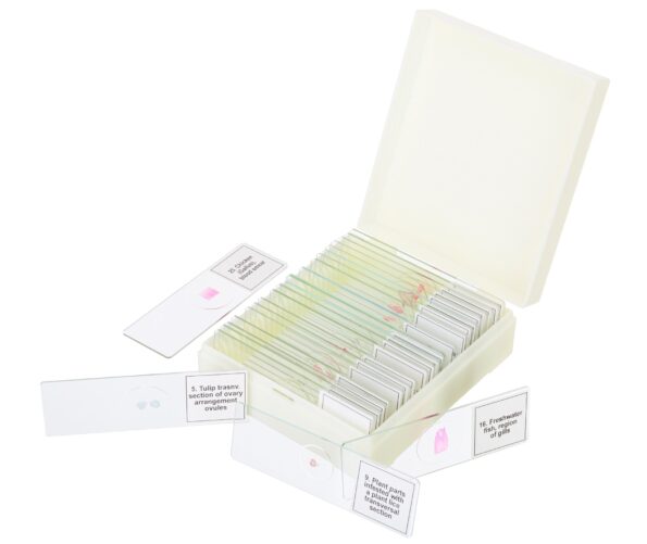 Príslušenstvo Discovery Prof Specimens DPS 25. „BIOLÓGIA, VTÁKY, ATD.“ – sada hotových preparátov – Obrázok 2