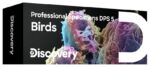Príslušenstvo Discovery Prof Specimens DPS 5. „VTÁKY“ – sada hotových preparátov