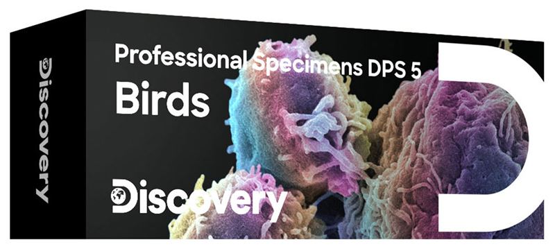 Prislusenstvo-Discovery-Prof-Specimens-DPS-5.-„VTAKY-–-sada-hotovych-preparatov Príslušenstvo Discovery Prof Specimens DPS 5. „VTÁKY“ – sada hotových preparátov – Obrázok 1