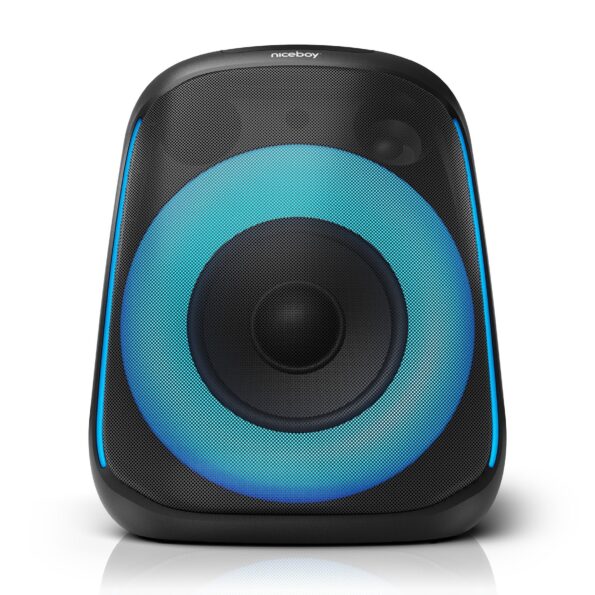 Repro Niceboy Party Boom 80W – Obrázok 2