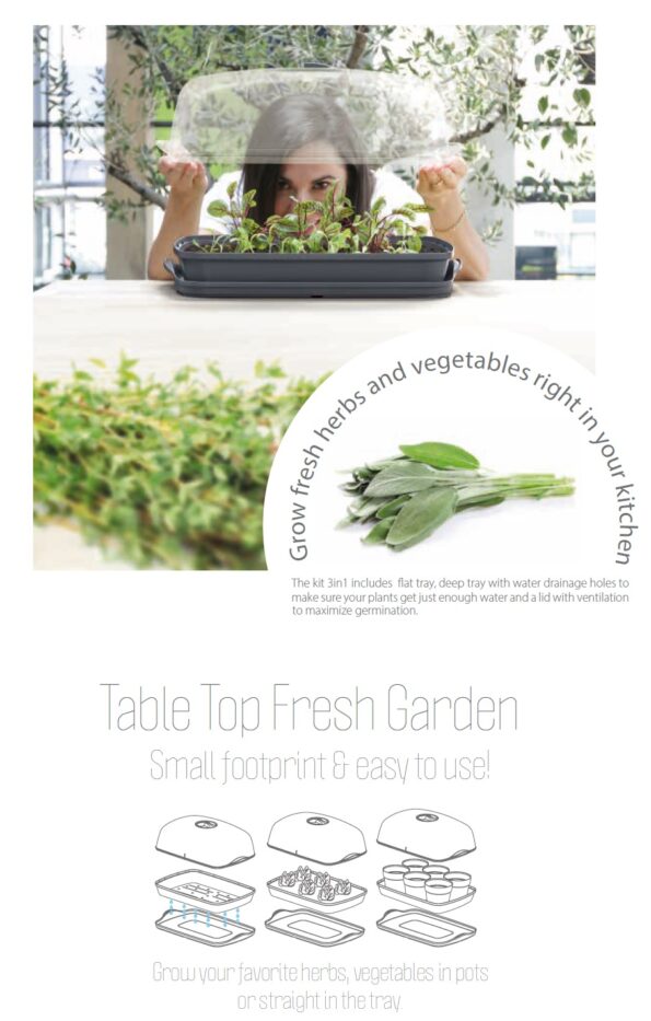 Sadbovač Prosperplast RESPANA TABLE GREENHOUSE antracit 39,1 cm – Obrázok 2