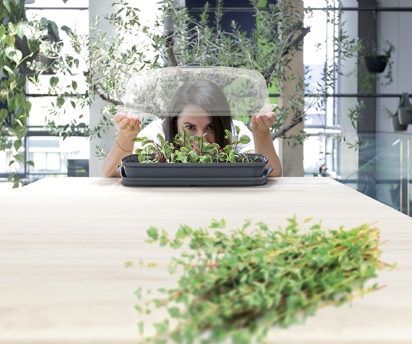 Sadbovač Prosperplast RESPANA TABLE GREENHOUSE antracit 39,1 cm – Obrázok 3