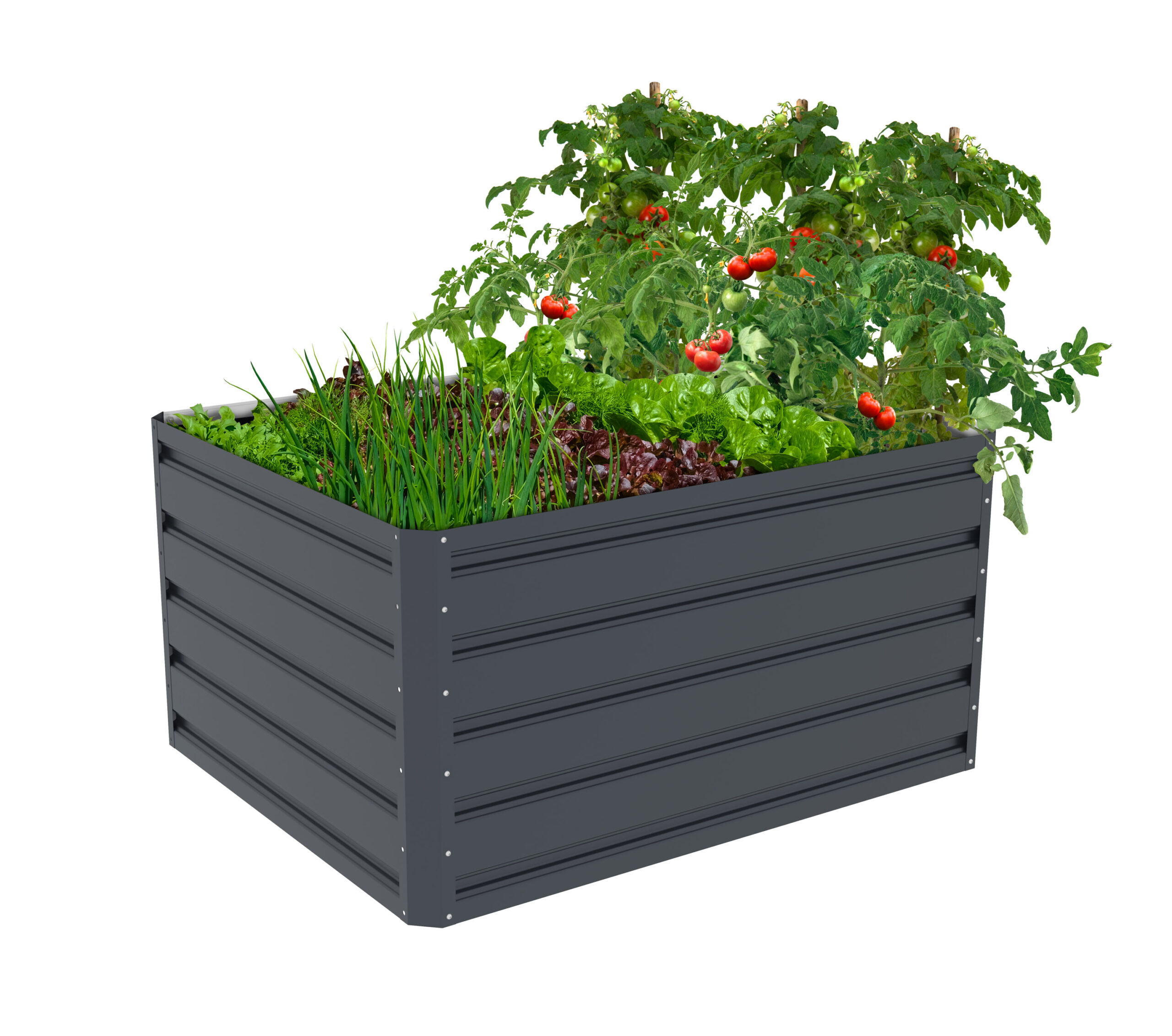 Vyvyseny-zahon-G21-Daisy-100-x-80-x-52-cm-plechovy-antracitovy Vyvýšený záhon G21 Daisy 100 x 80 x 52 cm, plechový, antracitový – Obrázok 1