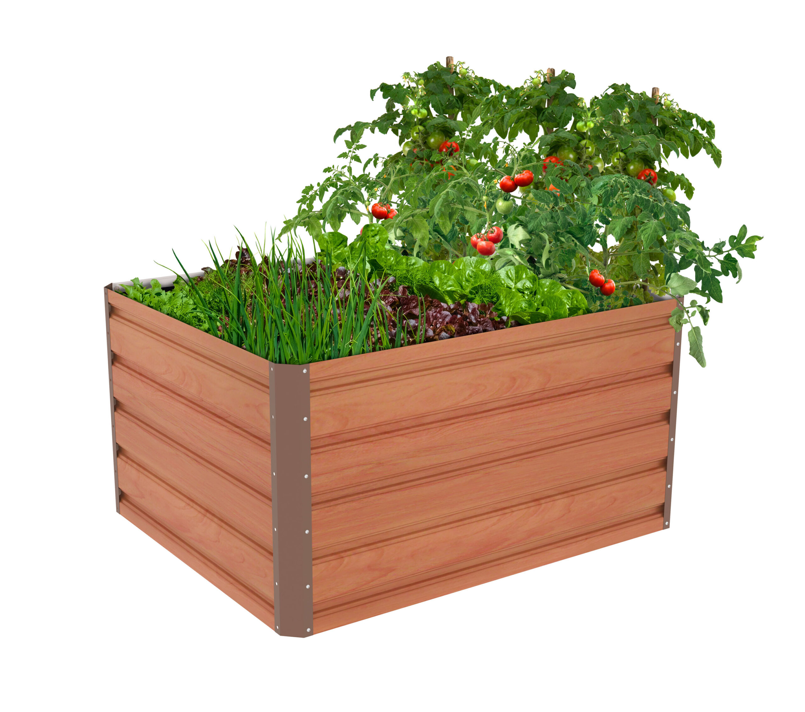 Vyvyseny-zahon-G21-Daisy-100-x-80-x-52-cm-plechovy-hnedy Vyvýšený záhon G21 Daisy 100 x 80 x 52 cm, plechový, hnedý – Obrázok 1
