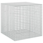 vidaXL Gabion s drôtom 3,5 mm a sieťou 5x2,5 cm 100x100x100 cm – Obrázok 2