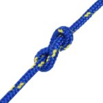 vidaXL Viacúčelové úžitkové lano 5 mm 100 m Modrá PP – Obrázok 5
