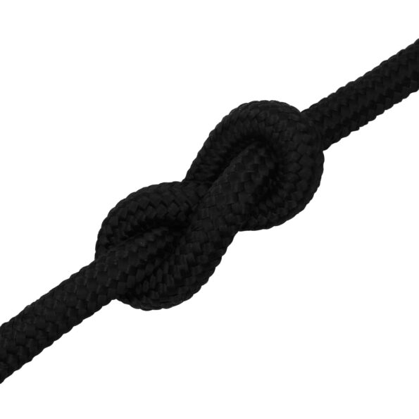 vidaXL Viacúčelové úžitkové lano 20 mm 100 m Čierna Polyester – Obrázok 5