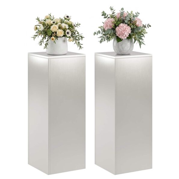 vidaXL Stojan na rastliny 2 pcs Strieborná 30 x 30 x 80 cm Oceľ – Obrázok 3