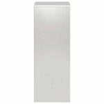 vidaXL Stojan na rastliny 2 pcs Strieborná 30 x 30 x 80 cm Oceľ – Obrázok 4