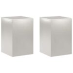 vidaXL Stojan na rastliny 2 pcs Strieborná 40 x 40 x 60 cm Oceľ – Obrázok 2
