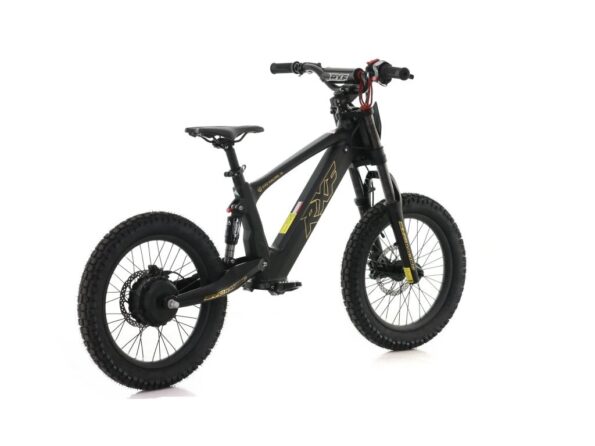 Detská elektrická motorka Energy Adventure Push 18 Pro Racing – Obrázok 2