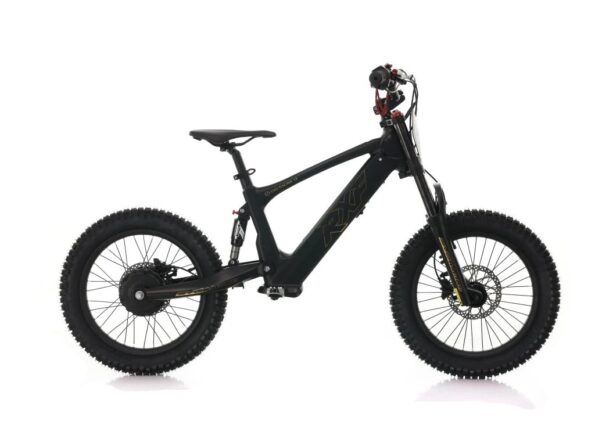 Detská elektrická motorka Energy Adventure Push 18 Pro Racing – Obrázok 3