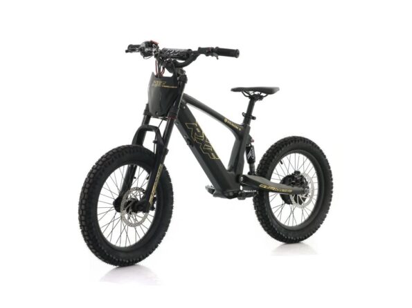 Detská elektrická motorka Energy Adventure Push 18 Pro Racing – Obrázok 5