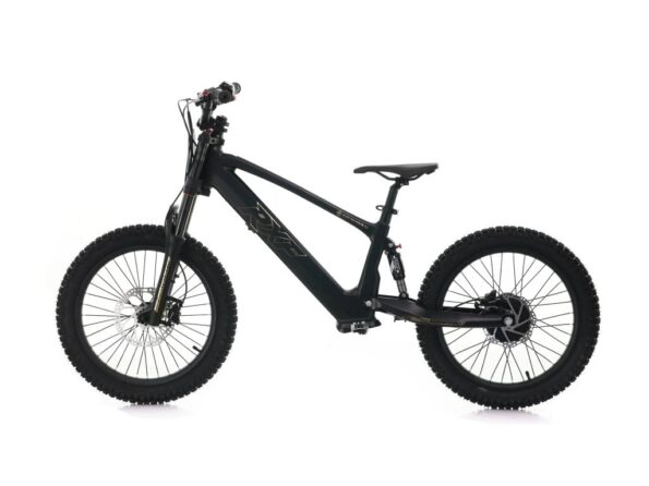 Detská elektrická motorka Energy Adventure Push 20 Pro Racing – Obrázok 2