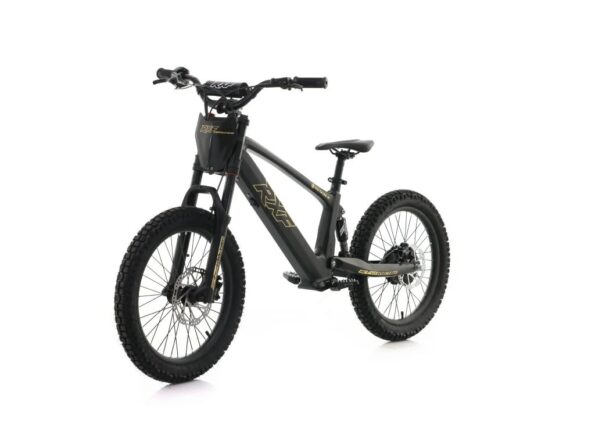 Detská elektrická motorka Energy Adventure Push 20 Pro Racing – Obrázok 4