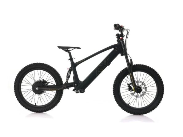 Detská elektrická motorka Energy Adventure Push 20 Pro Racing – Obrázok 5
