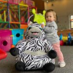Detské kresielko NEW BABY zebra – Obrázok 4